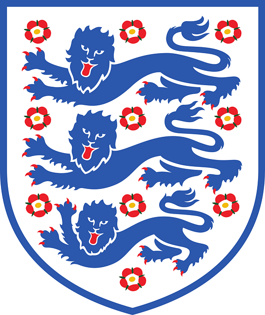 英格兰队徽